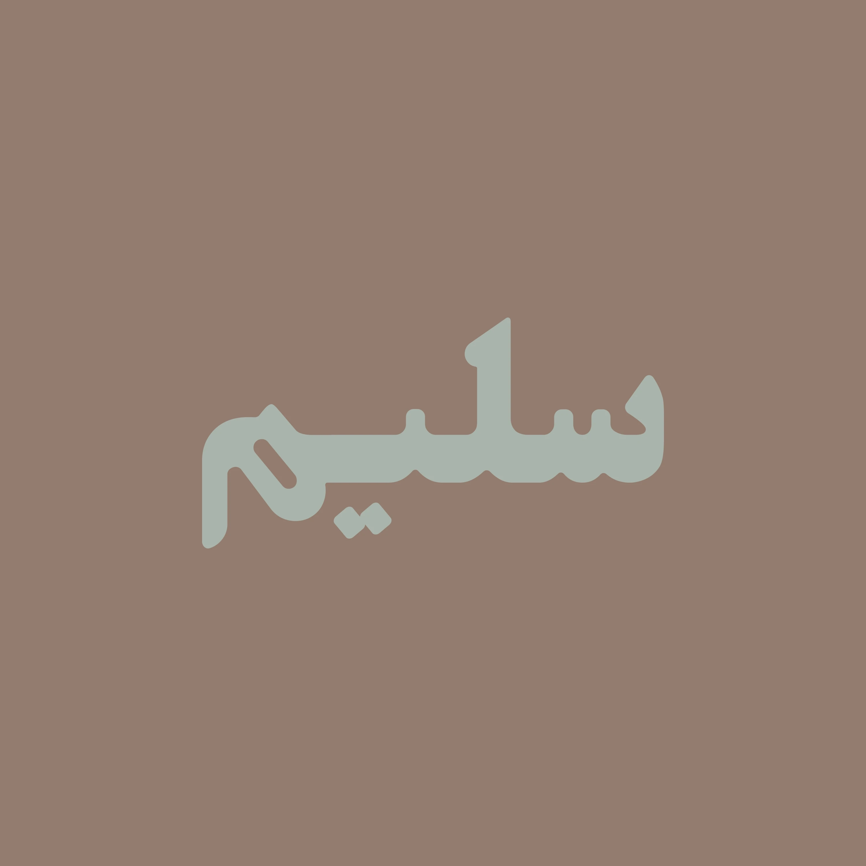 Salim album artwork with the name Salim in Persian lettering